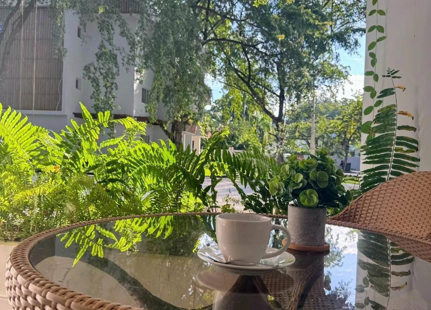 Perla Marina Beach Condo- Walk To Yoga, Spa & Food Сосуа 0*,